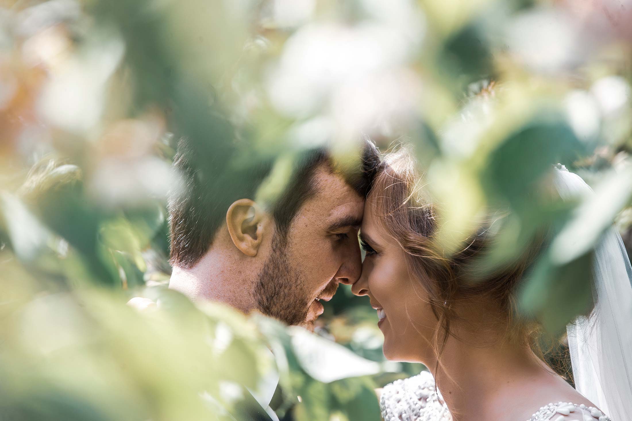 Mark Griffin Photo, Dublin Ireland.