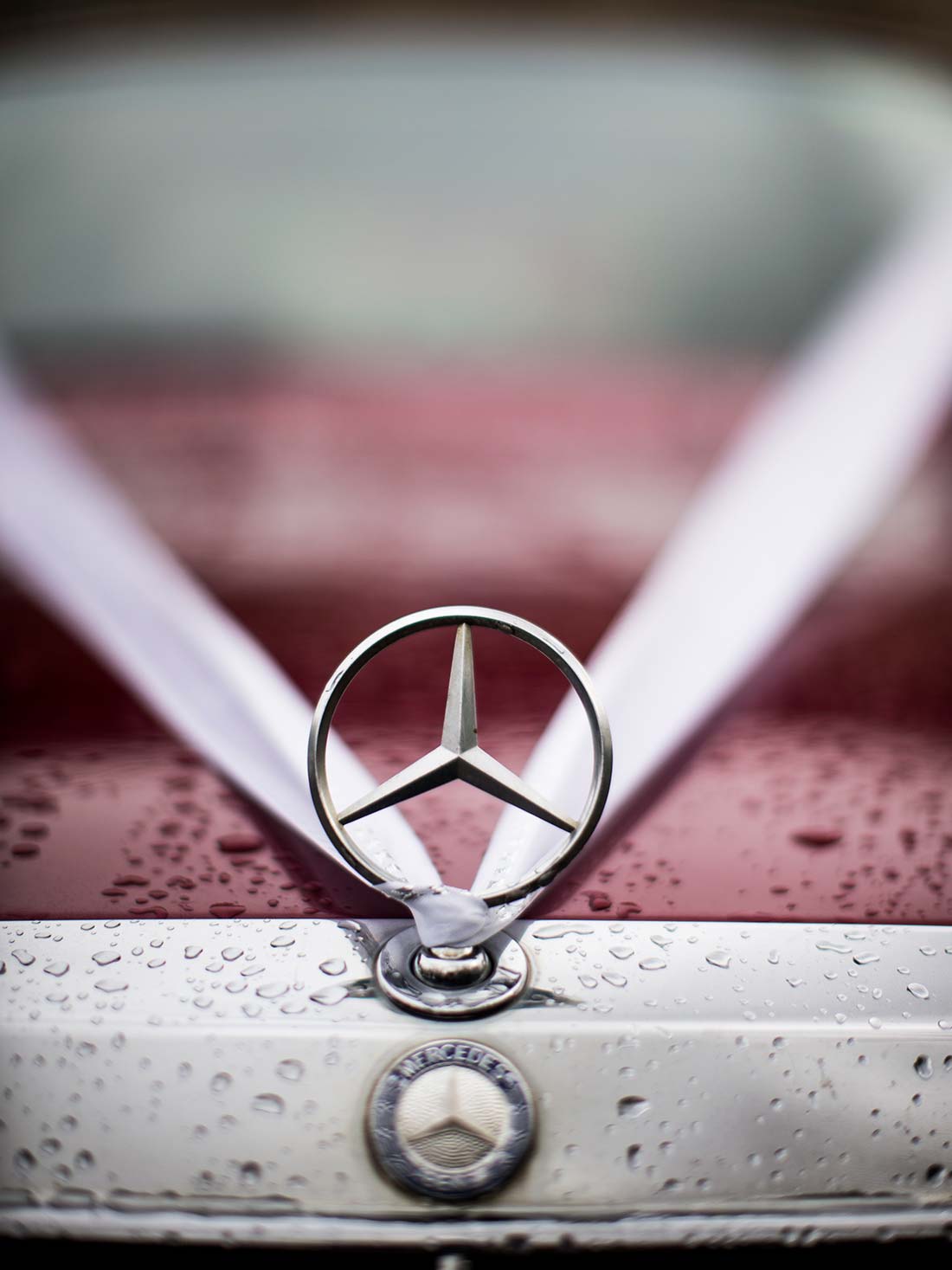 Mark Griffin Photo, Dublin Ireland.