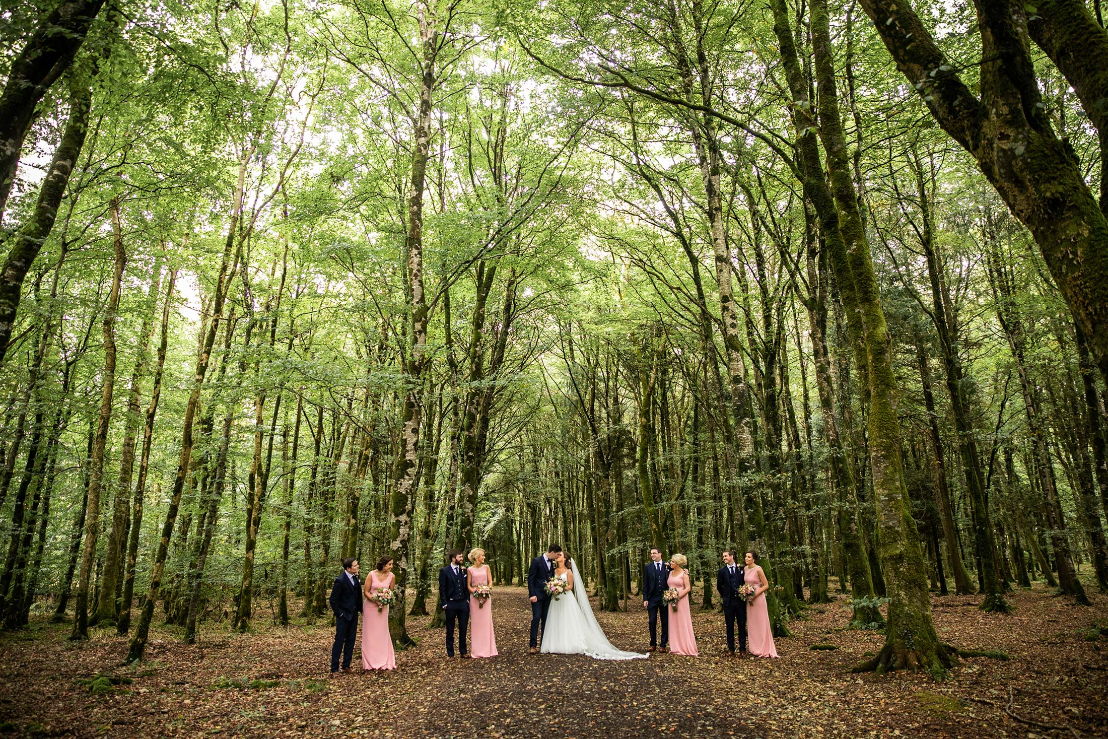 Mark Griffin Photo, Dublin Ireland.