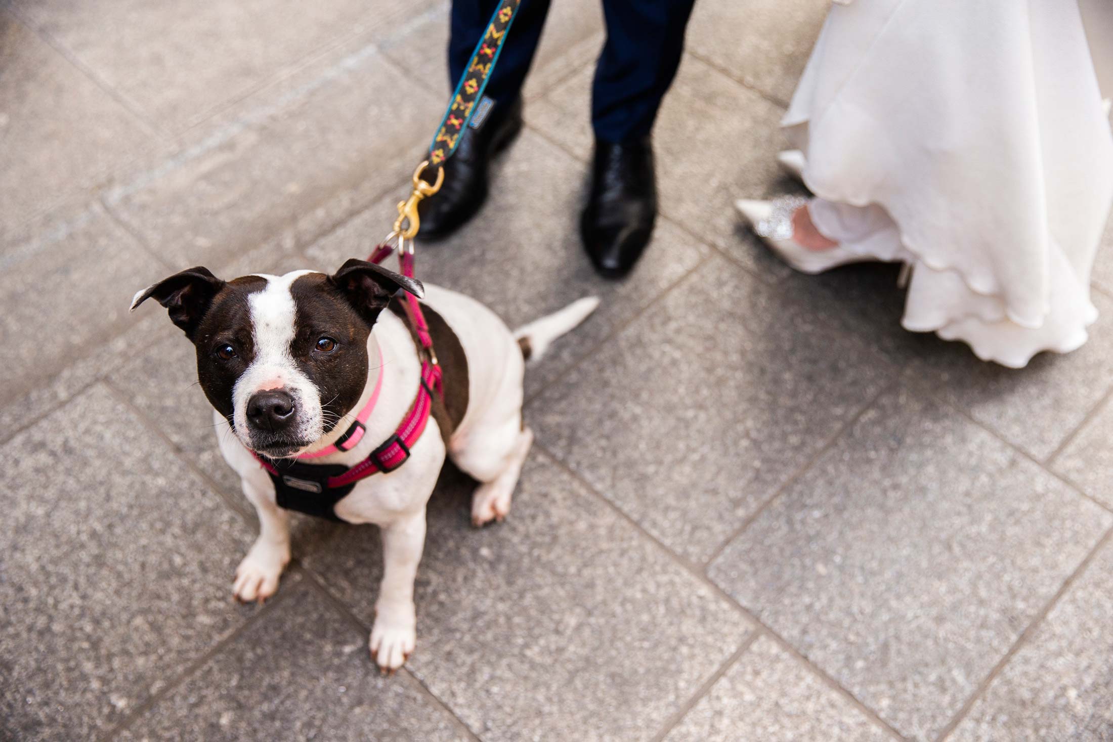 Mark Griffin Photo, Dublin Ireland.