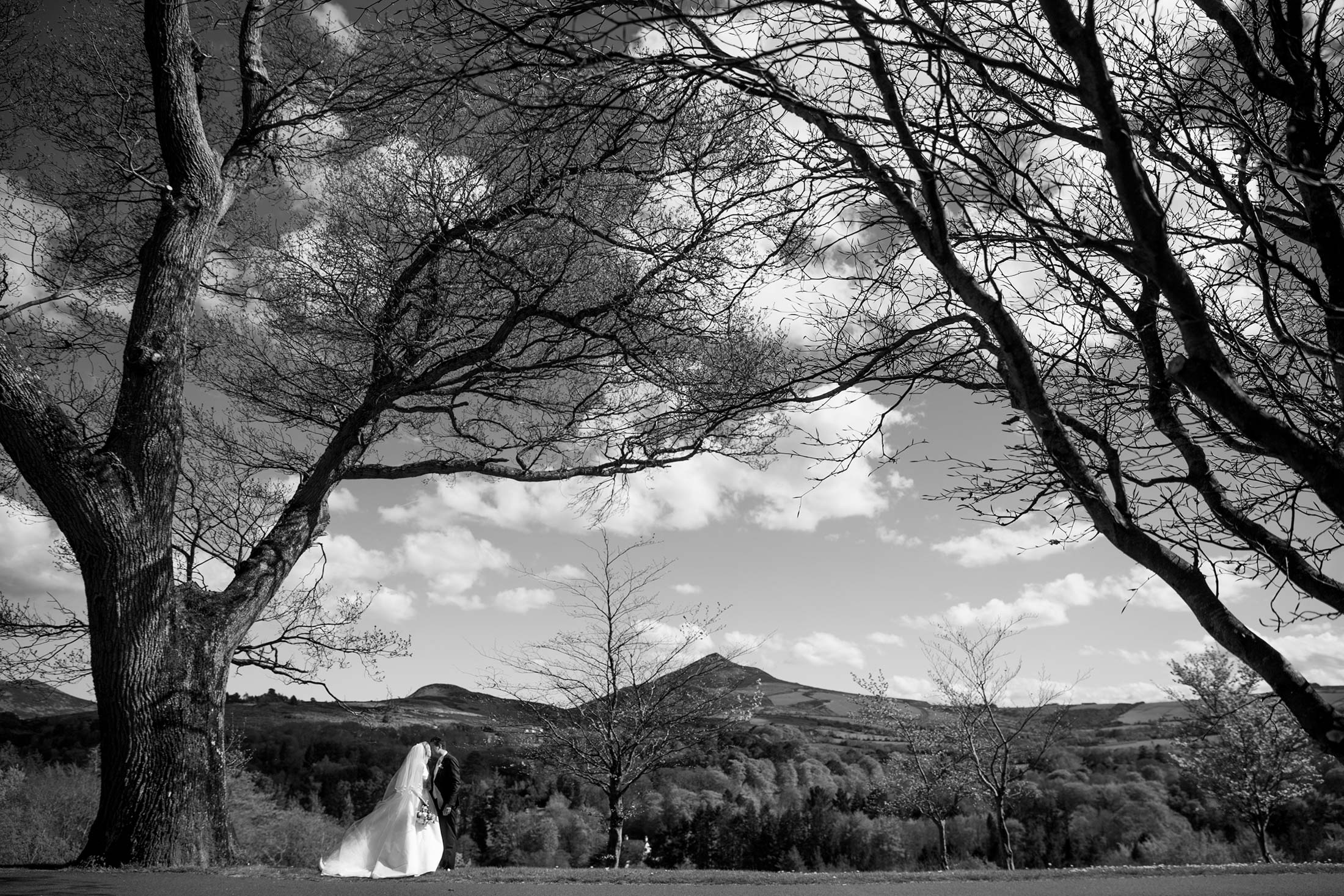 Mark Griffin Photo, Dublin Ireland.