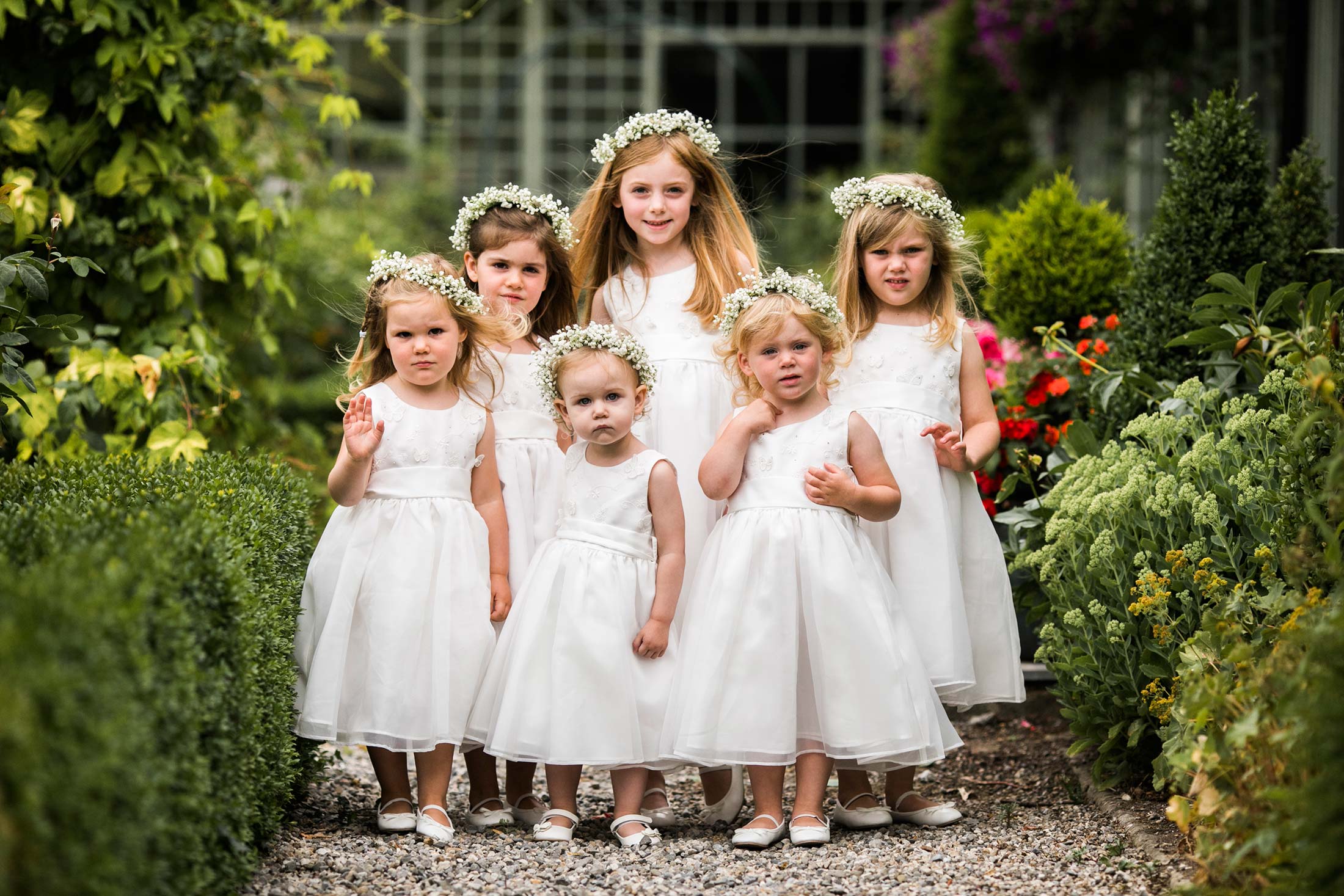 Mark Griffin Photo, Dublin Ireland.