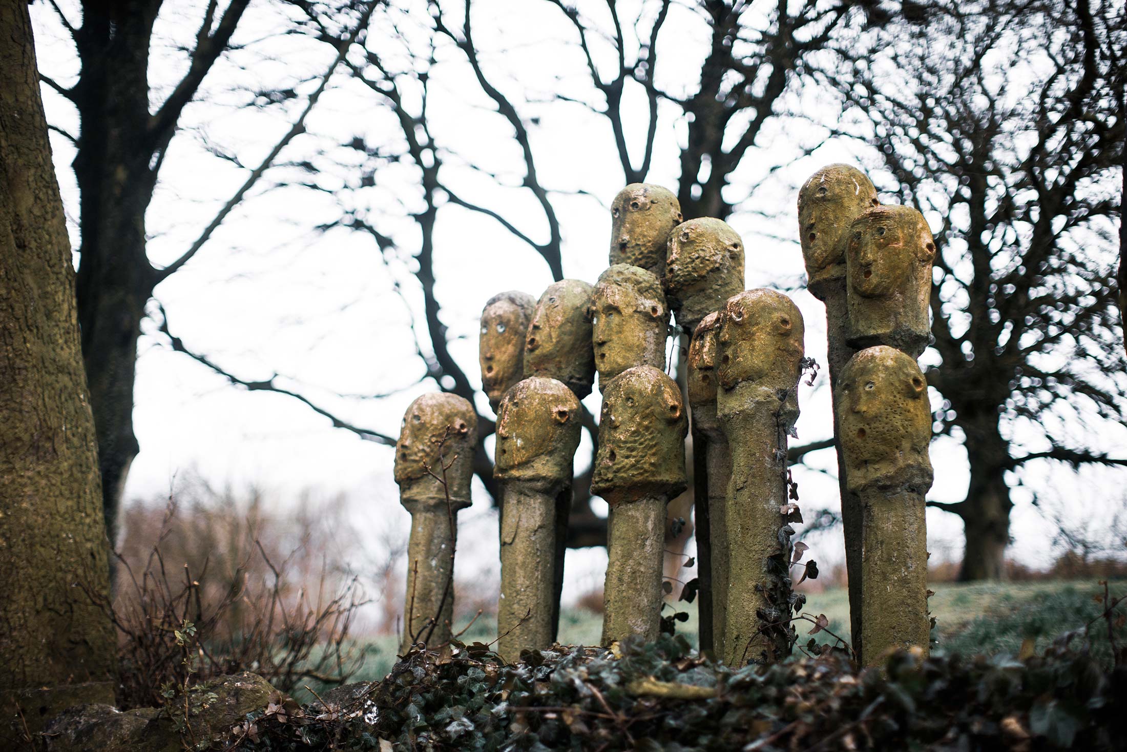 Mark Griffin Photo, Dublin Ireland Mount Druid.