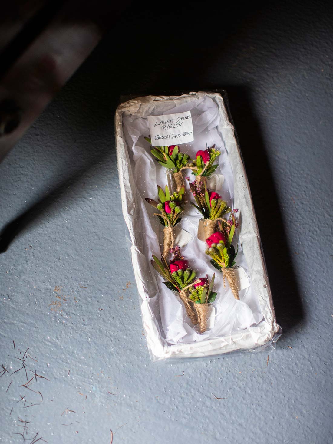 Mark Griffin Photo, Dublin Ireland Mount Druid.