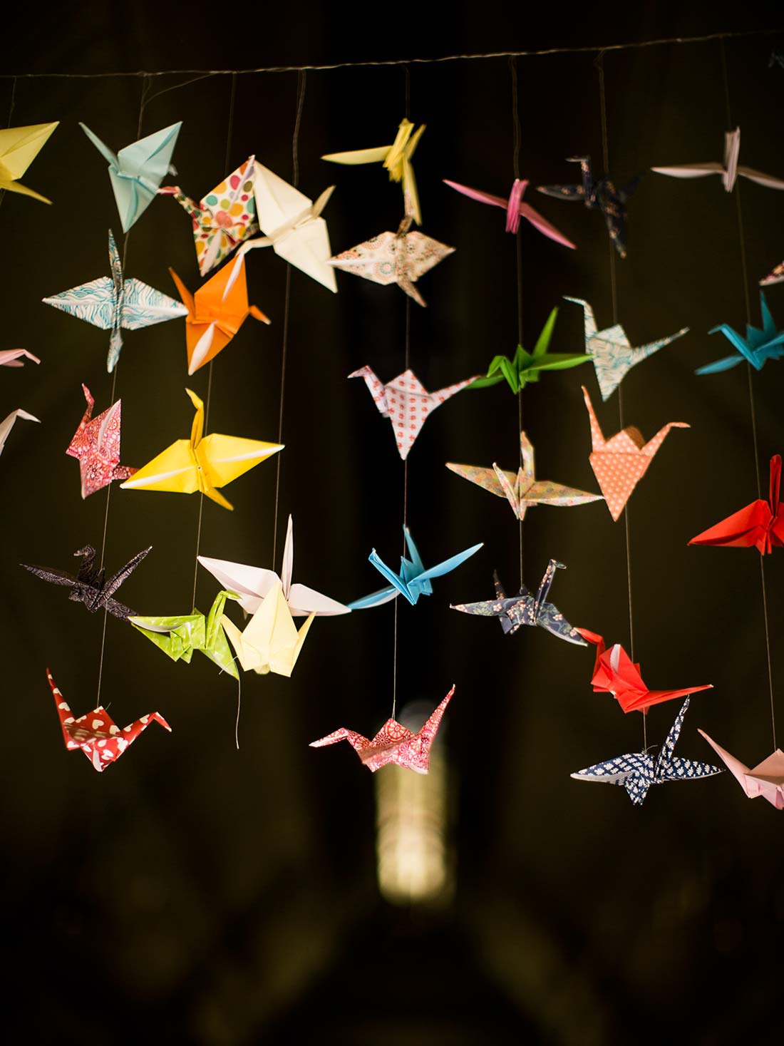 Mark Griffin Photo, Dublin Ireland Mount Druid.