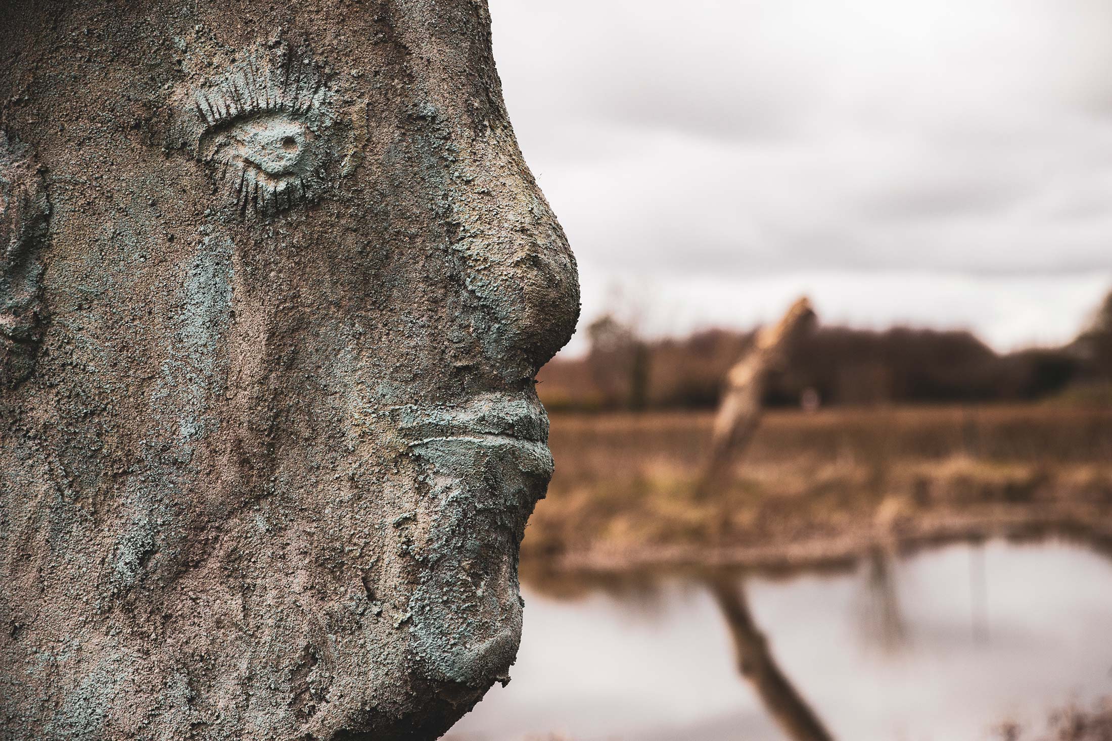 Mark Griffin Photo, Dublin Ireland Mount Druid.