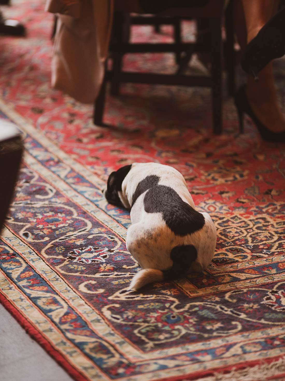 Mark Griffin Photo, Dublin Ireland Mount Druid.