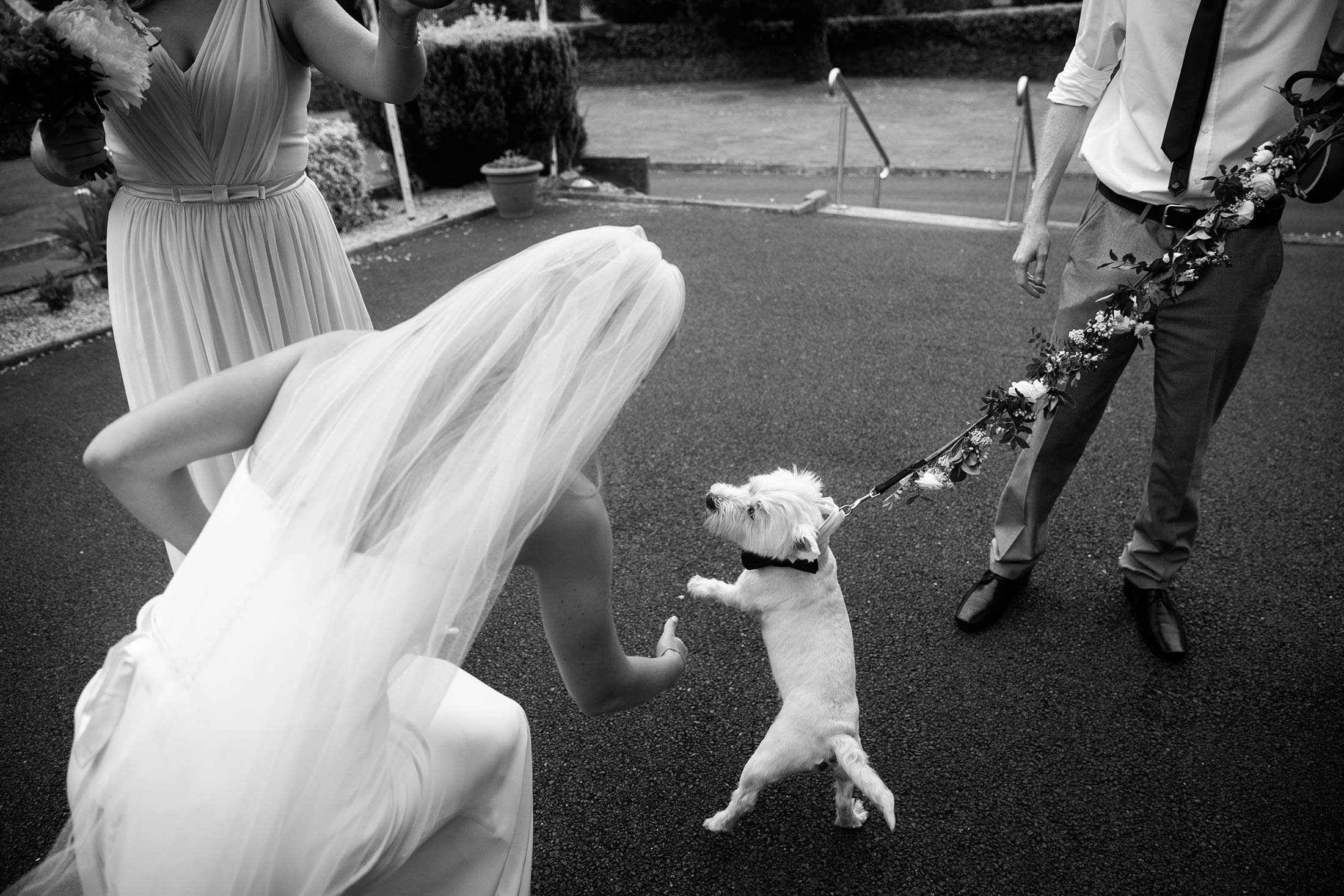 Mark Griffin Photo, Dublin Ireland Tinakilly Country-House.