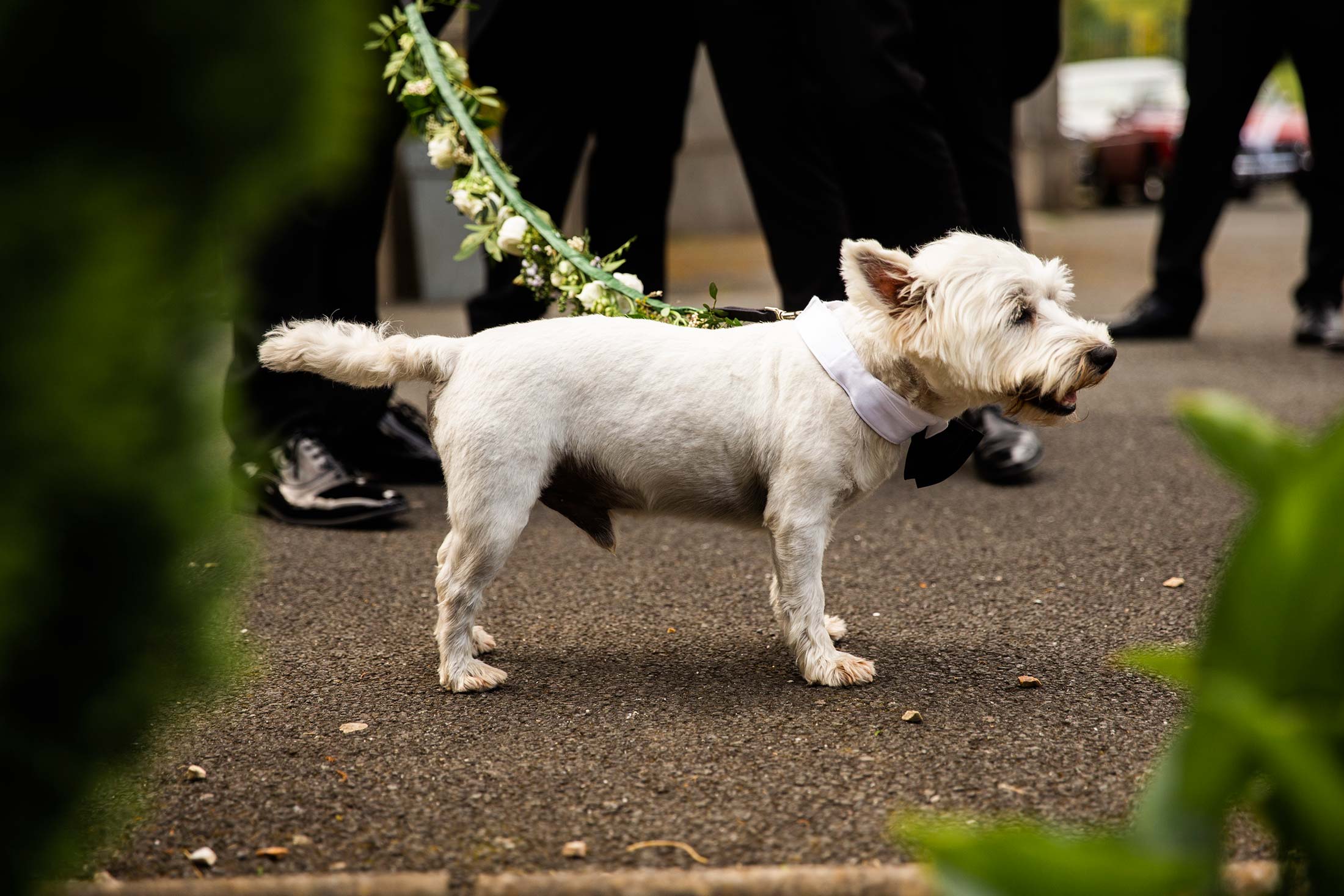 Mark Griffin Photo, Dublin Ireland Tinakilly Country-House.