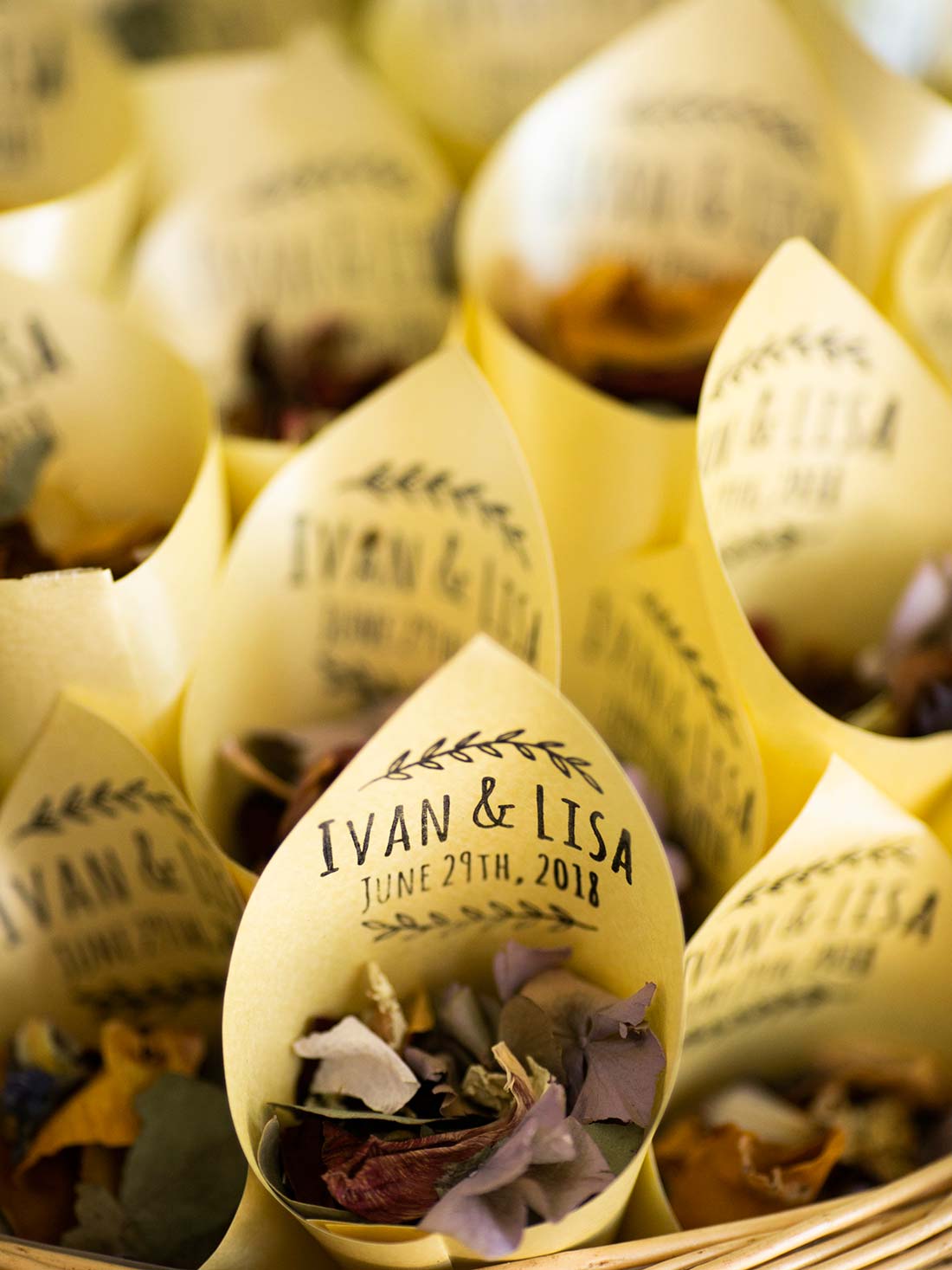 Mark Griffin Photo, Dublin Ireland Castle Durrow.