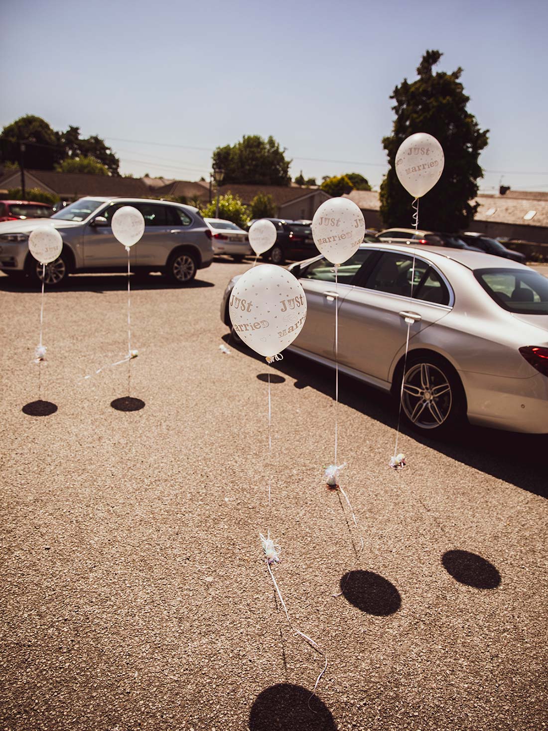 Mark Griffin Photo, Dublin Ireland Castle Durrow.