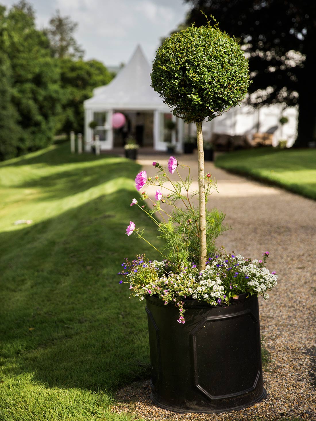Mark Griffin Photo, Dublin Ireland Mount Juliet Estate.