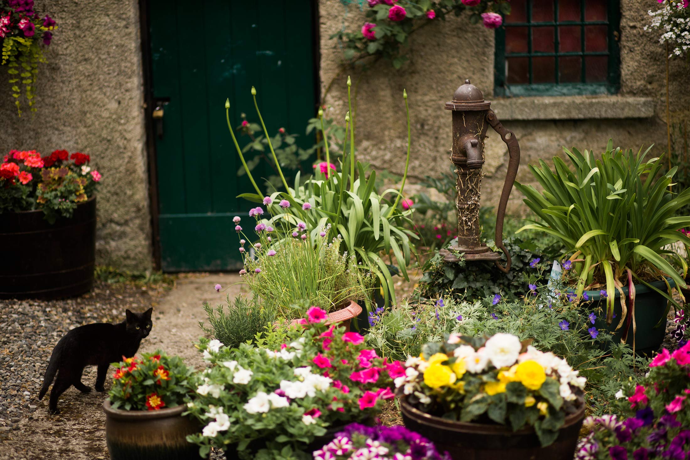 Mark Griffin Photo, Dublin Ireland Rathsallagh Country House.