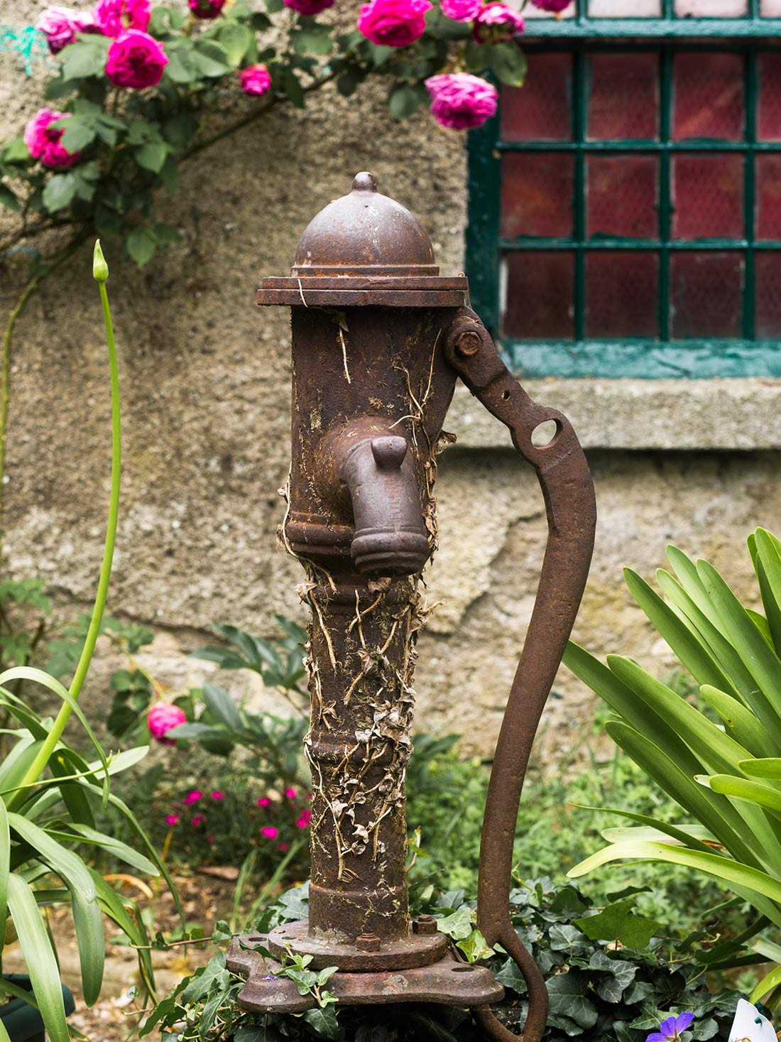 Mark Griffin Photo, Dublin Ireland Rathsallagh Country House.